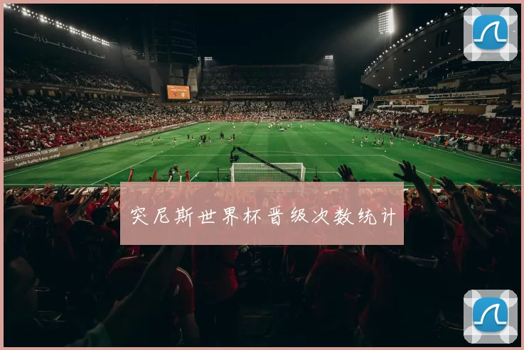 突尼斯世界杯晋级次数统计