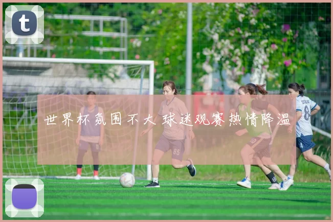 世界杯氛围不大 球迷观赛热情降温