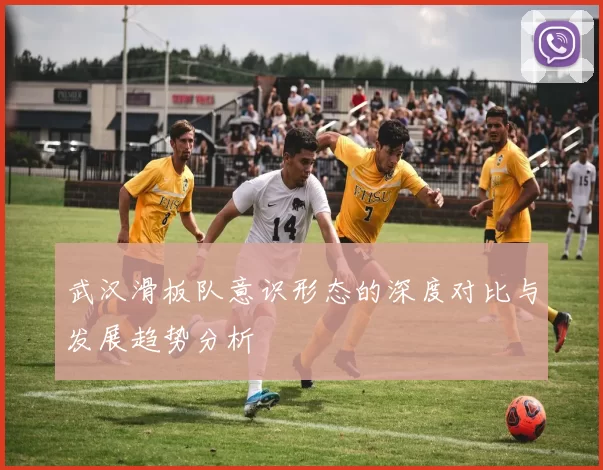 武汉滑板队意识形态的深度对比与发展趋势分析