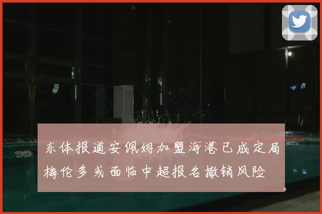 东体报道安佩姆加盟海港已成定局梅伦多或面临中超报名撤销风险