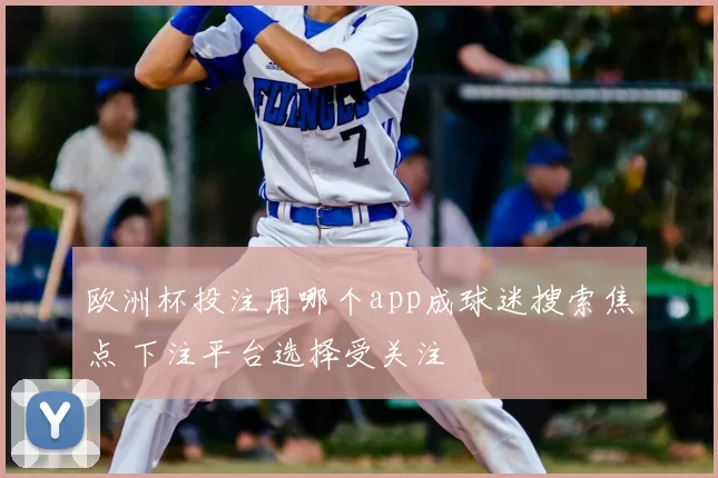 欧洲杯投注用哪个app成球迷搜索焦点 下注平台选择受关注