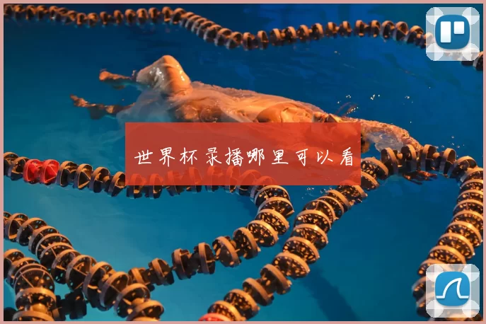 世界杯录播哪里可以看