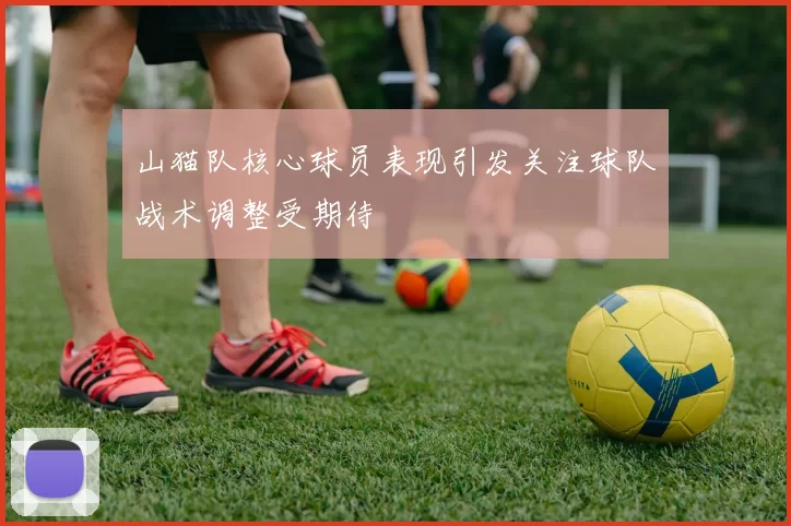 山猫队核心球员表现引发关注球队战术调整受期待
