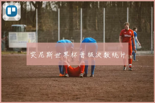 突尼斯世界杯晋级次数统计