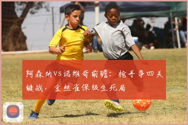 阿森纳vs诺维奇前瞻:枪手争四关键战,金丝雀保级生死局