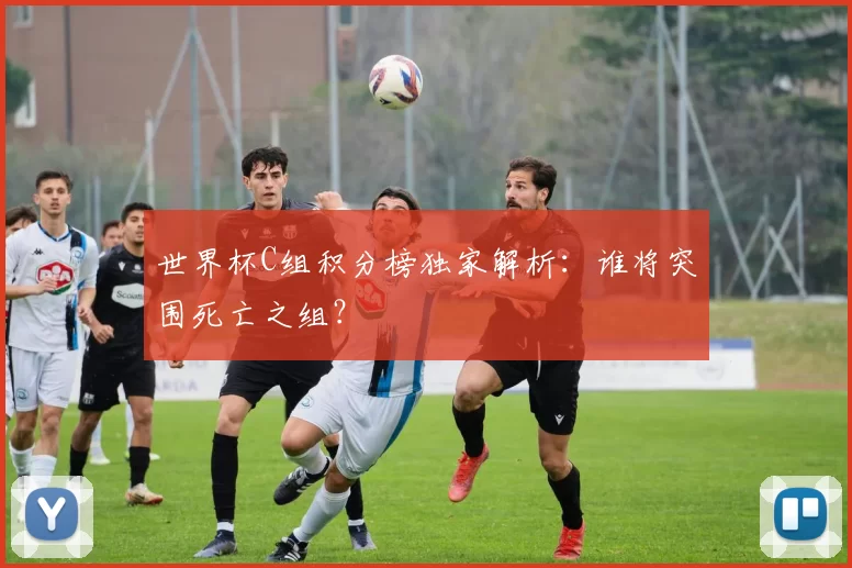 世界杯C组积分榜独家解析：谁将突围死亡之组？