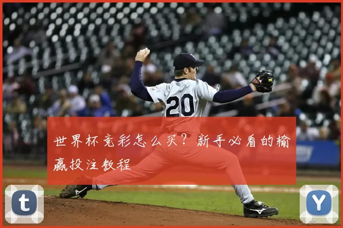 世界杯竞彩怎么买？新手必看的输赢投注教程