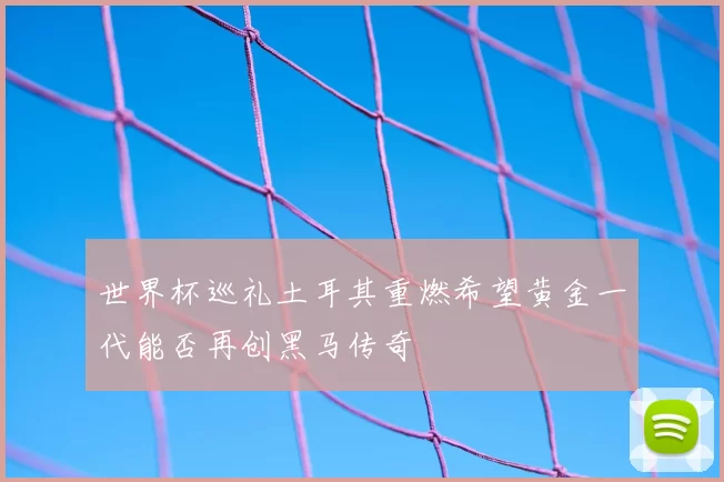 世界杯巡礼土耳其重燃希望黄金一代能否再创黑马传奇