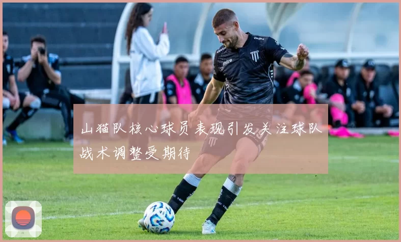 山猫队核心球员表现引发关注球队战术调整受期待