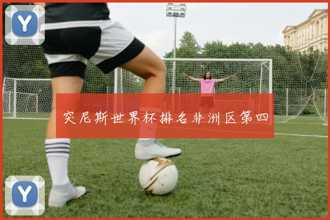 突尼斯世界杯排名非洲区第四