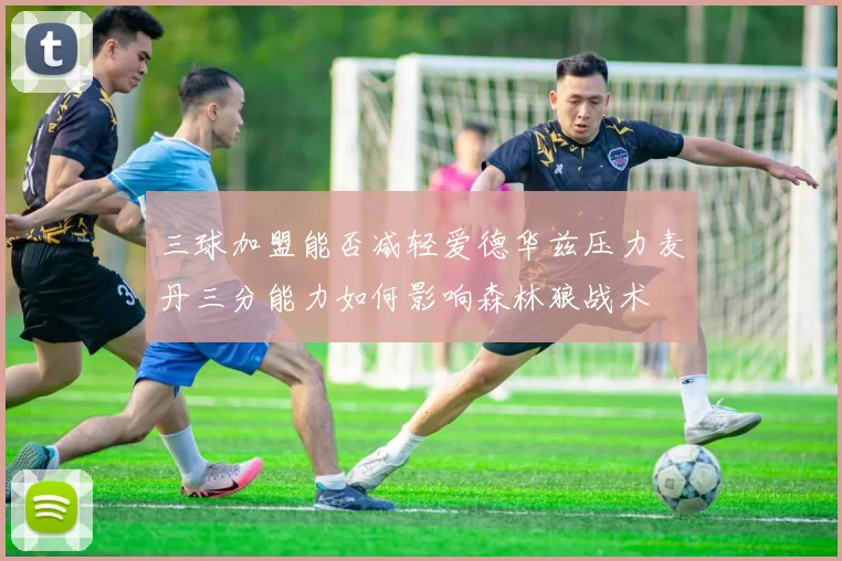 三球加盟能否减轻爱德华兹压力麦丹三分能力如何影响森林狼战术