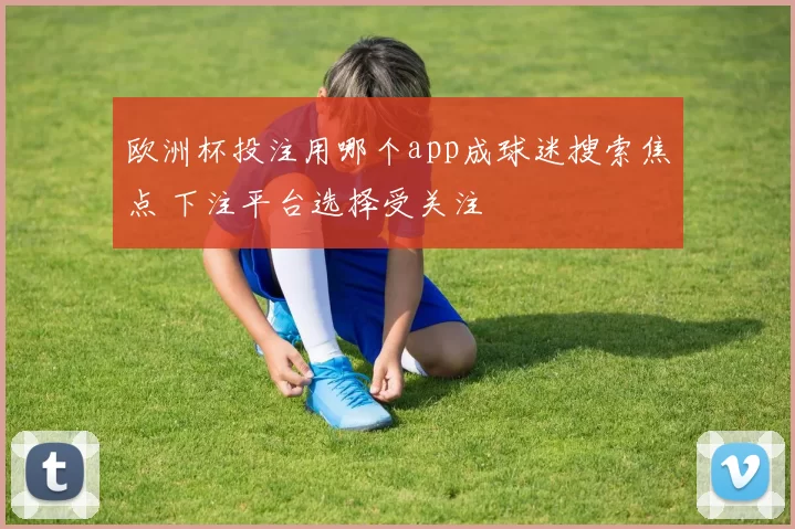 欧洲杯投注用哪个app成球迷搜索焦点 下注平台选择受关注